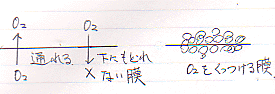 990118b
