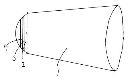 p239.jpg
