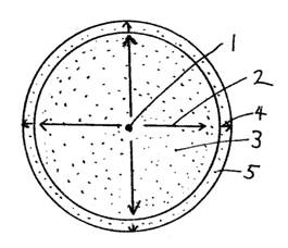 p260(�P).jpg