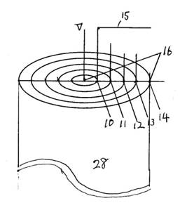 p260 (3).jpg