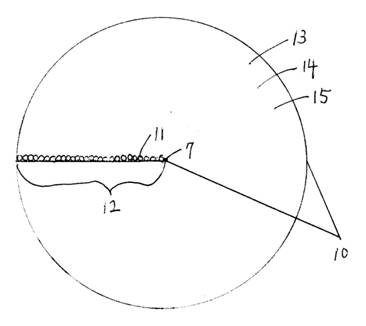 p301 (2).jpg