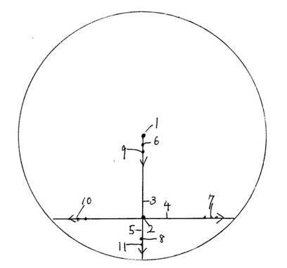 p137.jpg